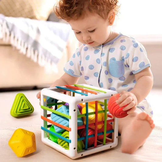 Orianaia Box - Educational Box