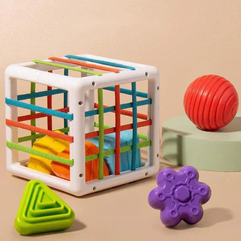 Orianaia Box - Educational Box