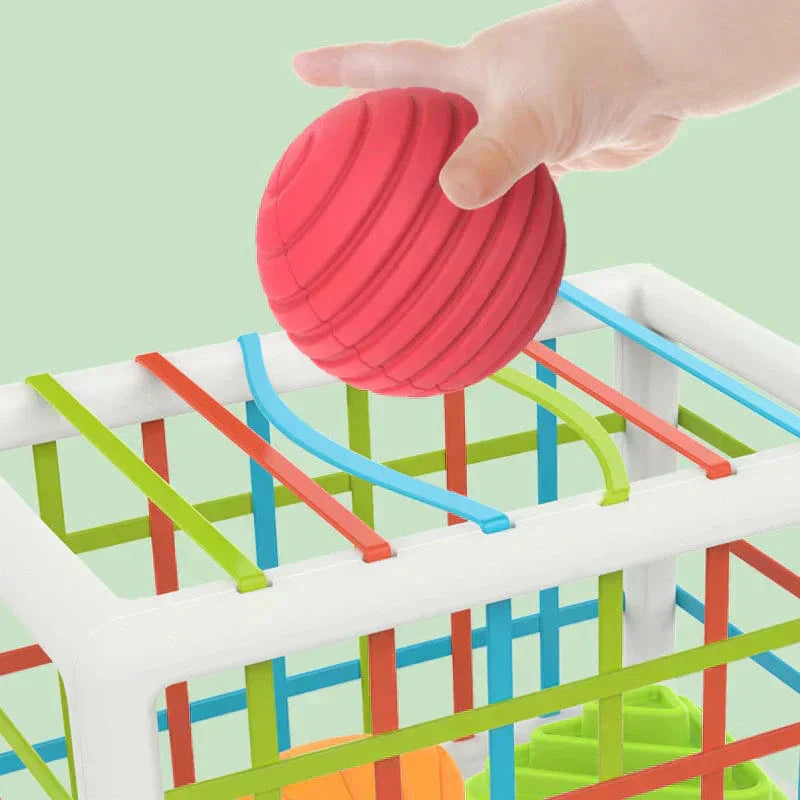 Orianaia Box - Educational Box