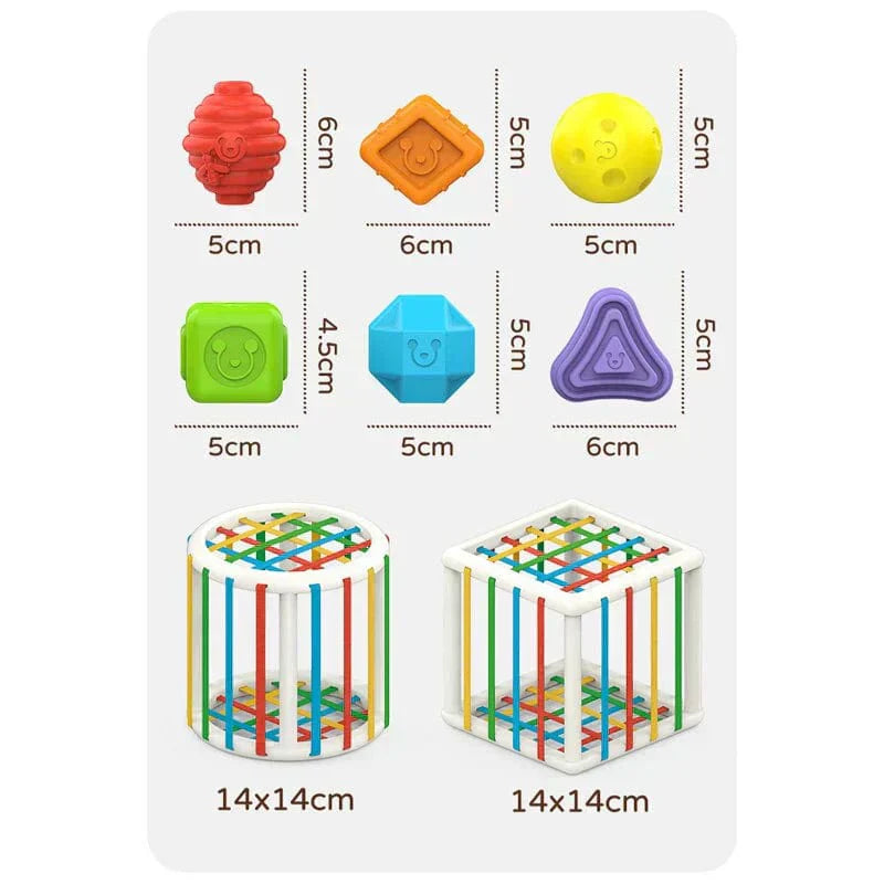 Orianaia Box - Educational Box