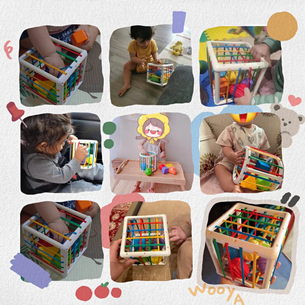 Orianaia Box - Educational Box